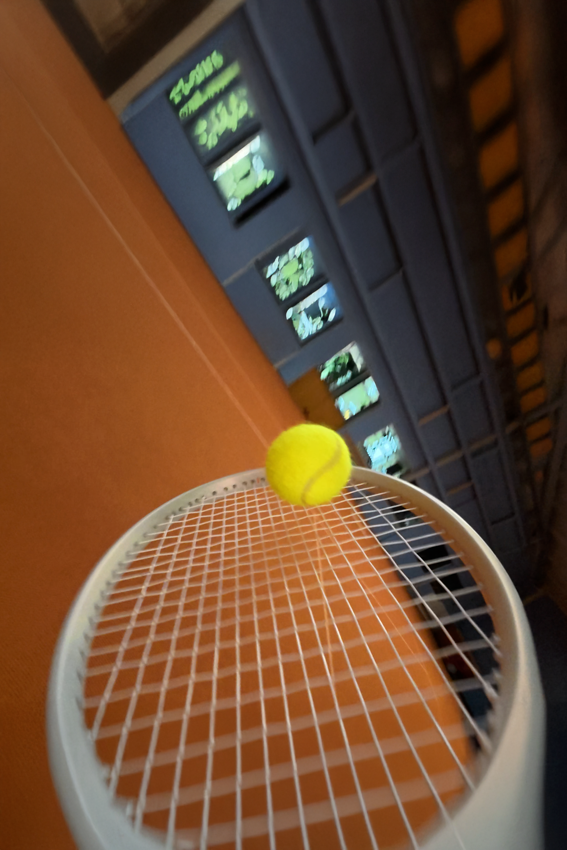 TCBW Donaueschingen, Tennis Samurai — Aufnahme rechts